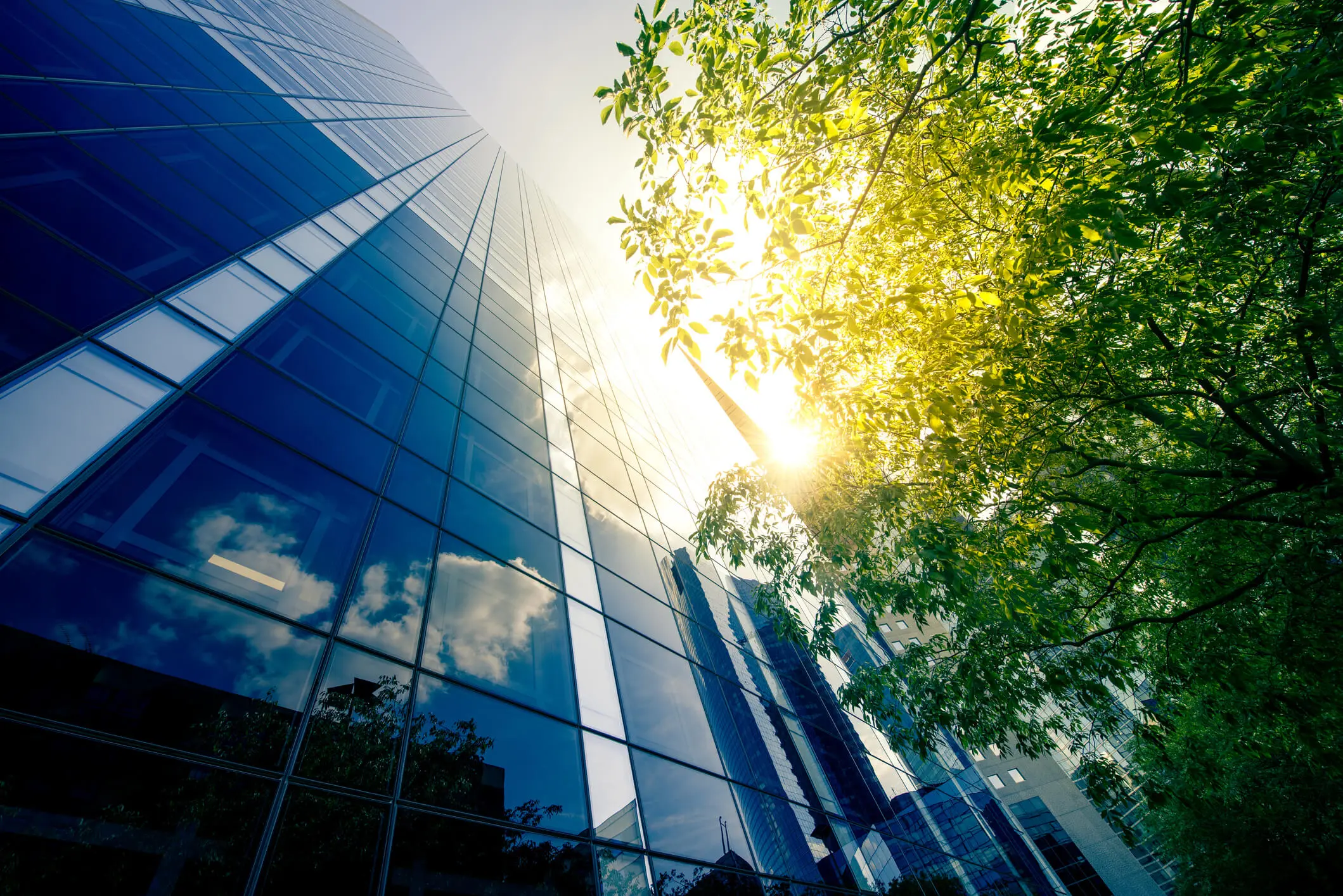 BREEAM amplifies its presence in the U.S. by expanding capabilities