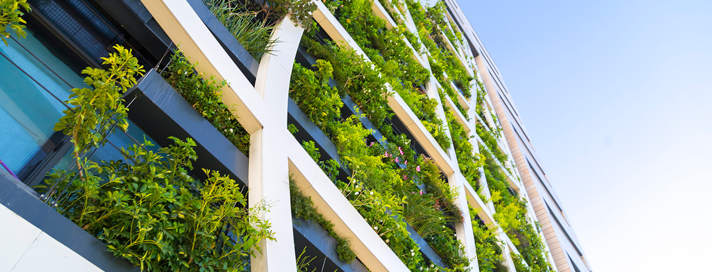 net zero