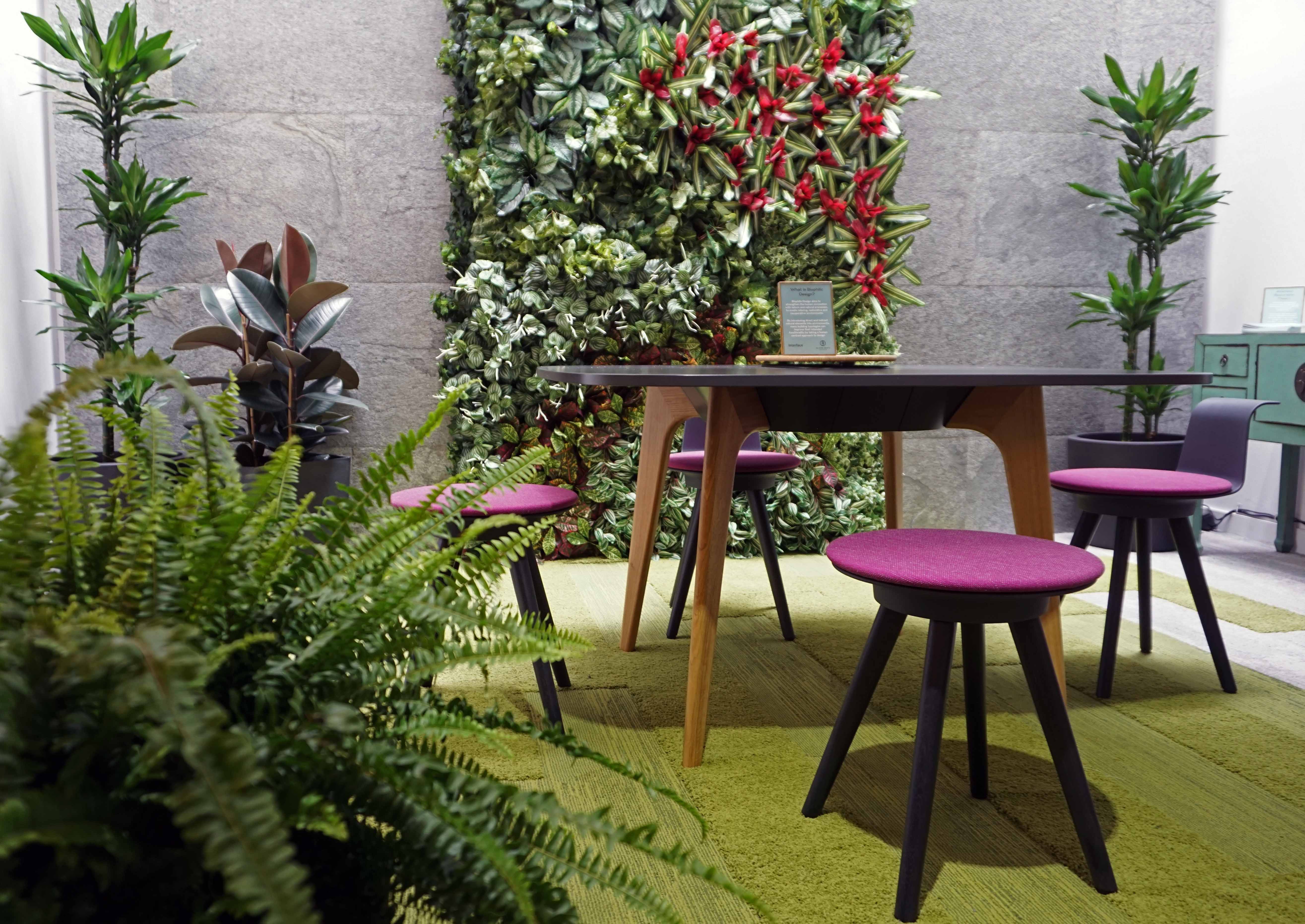 Plants