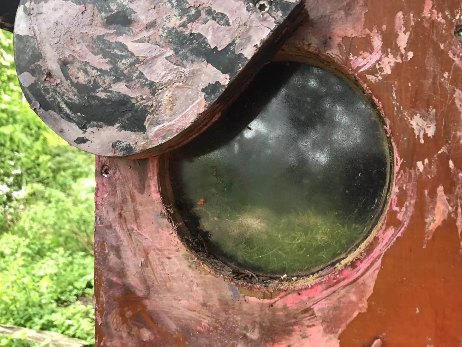 Bybanen D12 egg in birdbox