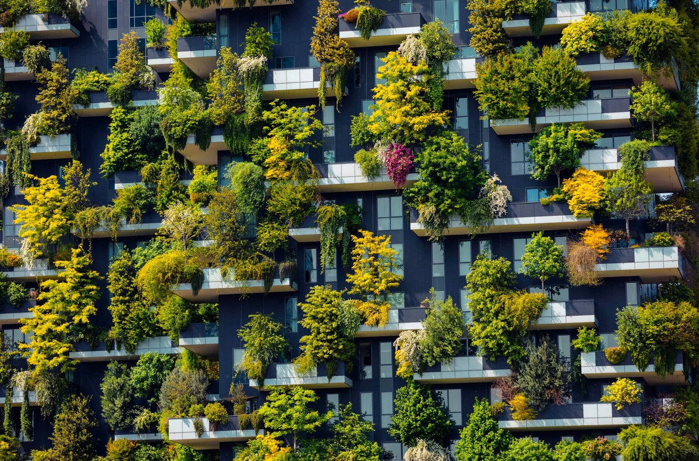 Sustainable building