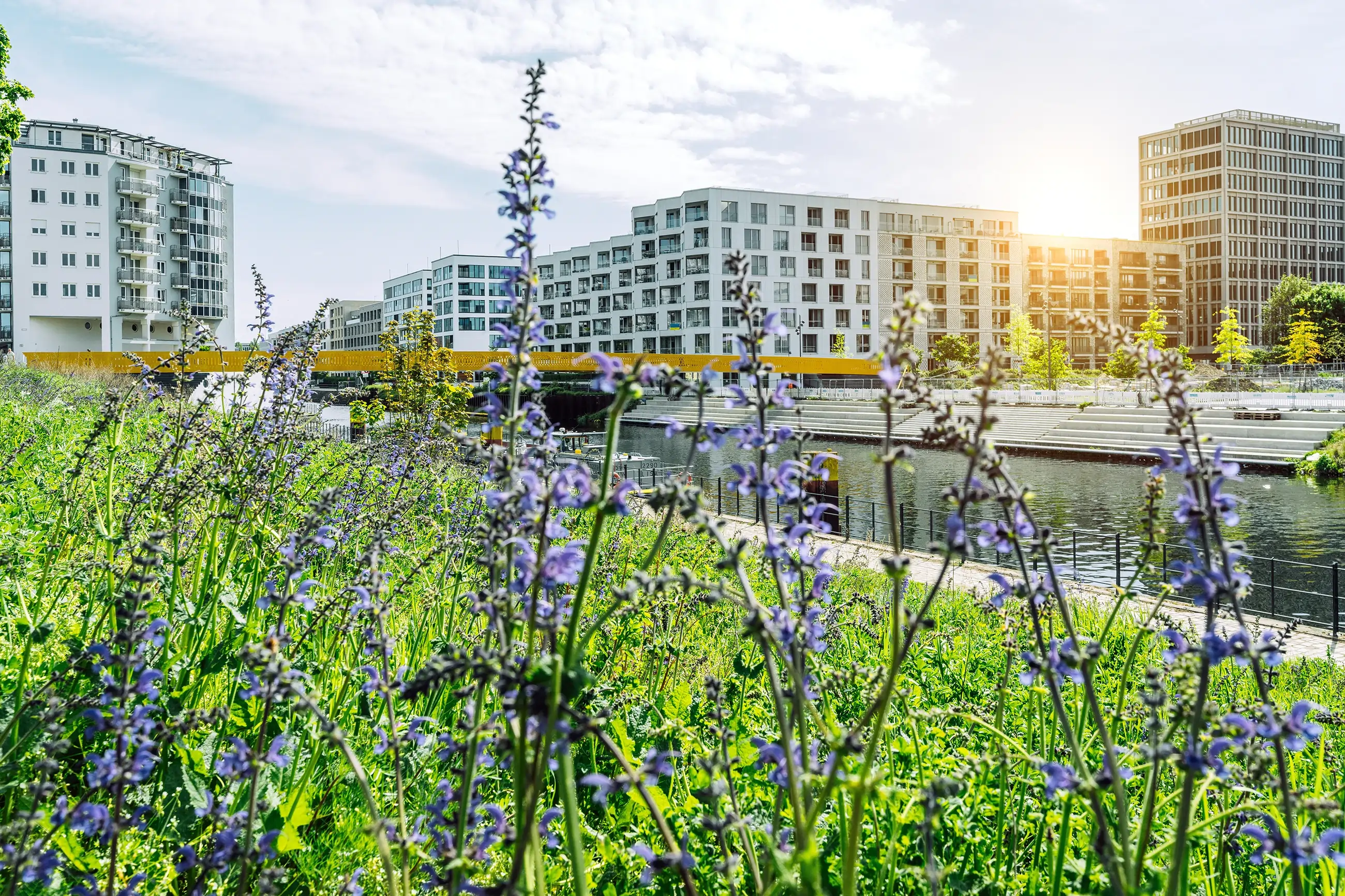 BREEAM webinar – What
