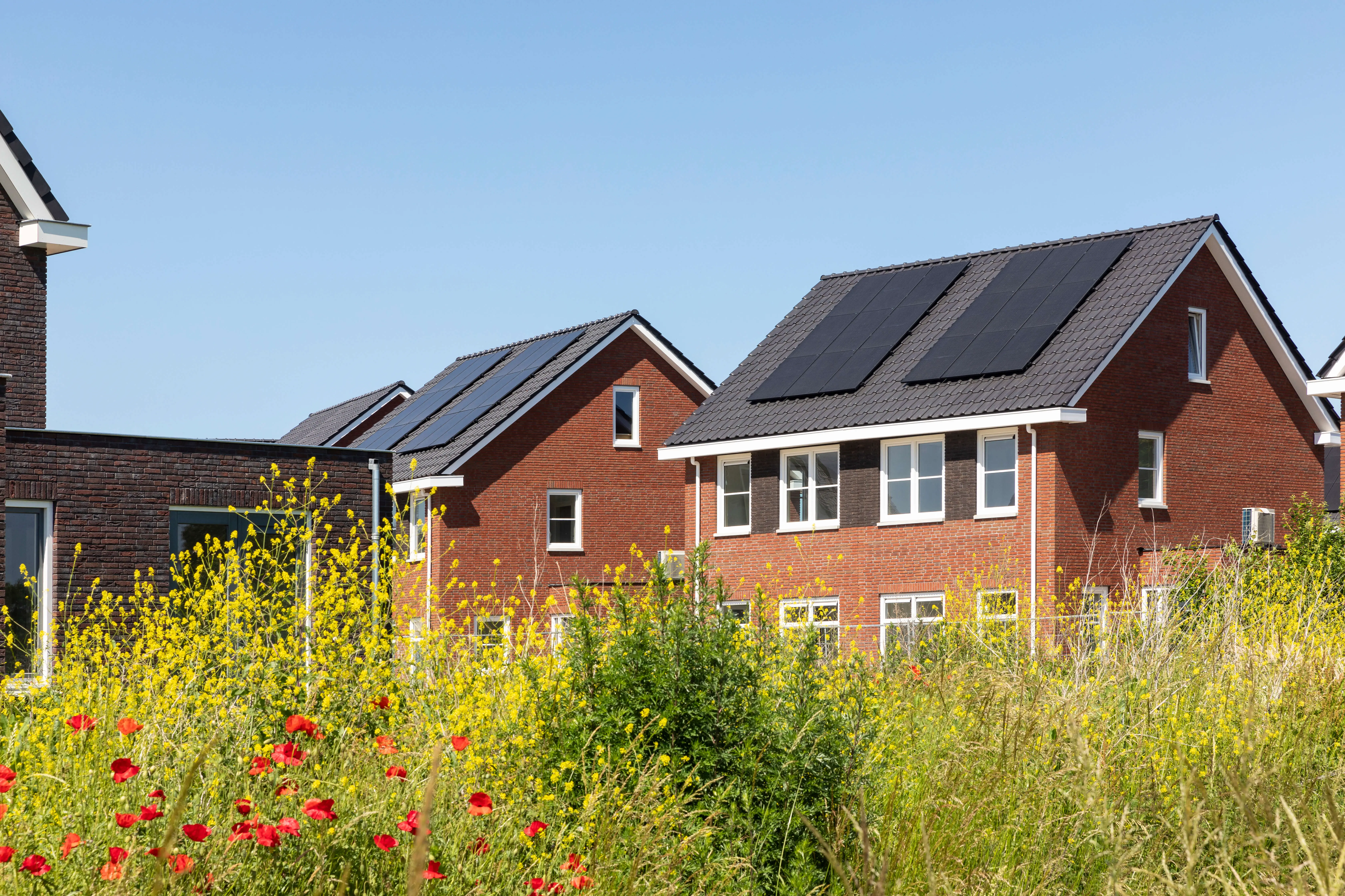 Energy standards