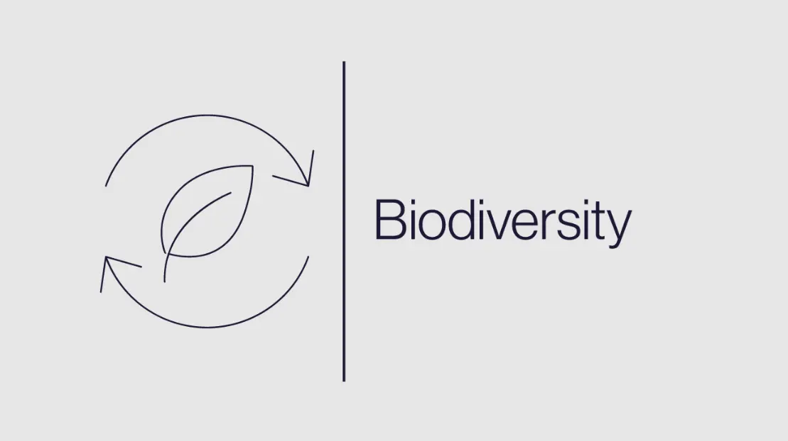 Biodiversity and nature
